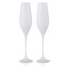 Spirit White Champagne Flutes - Set of 2