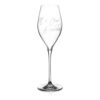 It's Time to Celebrate Novelty Prosecco Glass - Single Glass